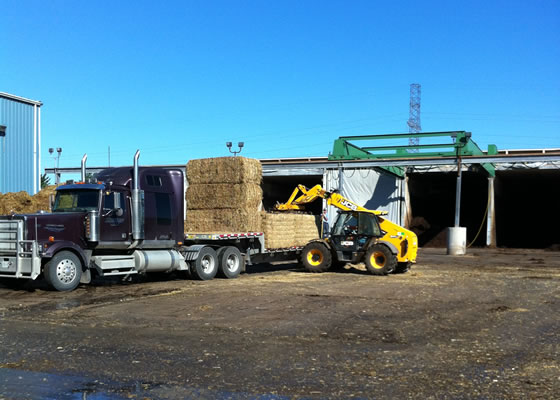 Phase 1: Unloading straw bales